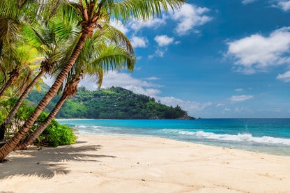 Palm Trees on Beach Scenery View Home Decor Premium Quality Poster Print Choose Your Sizes
