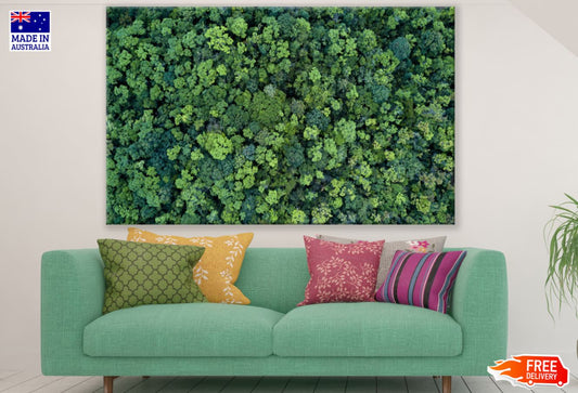 Forest Aerial View Photograph Print 100% Australian Made