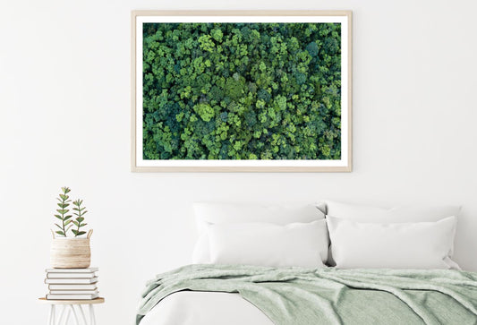 Forest Aerial View Photograph Home Decor Premium Quality Poster Print Choose Your Sizes