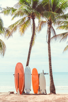 Surf Boards & Palm Trees At Sea Print 100% Australian Made