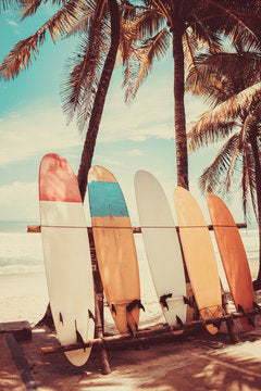 Surf Boards & Palm Trees Near Sea Print 100% Australian Made
