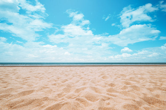 Shore & Sea Scenery Photograph Print 100% Australian Made