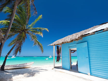 House Near Sea Palm Tree Scenery Home Decor Premium Quality Poster Print Choose Your Sizes