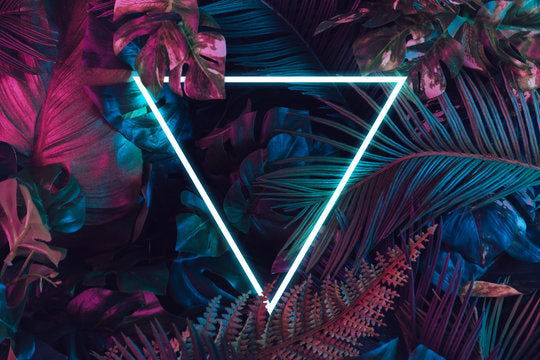 Neon Triangle & Leaves Design Home Decor Premium Quality Poster Print Choose Your Sizes
