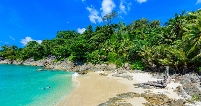 Forest & Sea Scenery Photograph Print 100% Australian Made