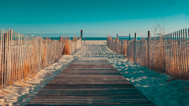 Wooden Footpath to Sea Photograph Print 100% Australian Made