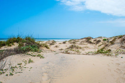 Sand Mountain View Photograph Print 100% Australian Made