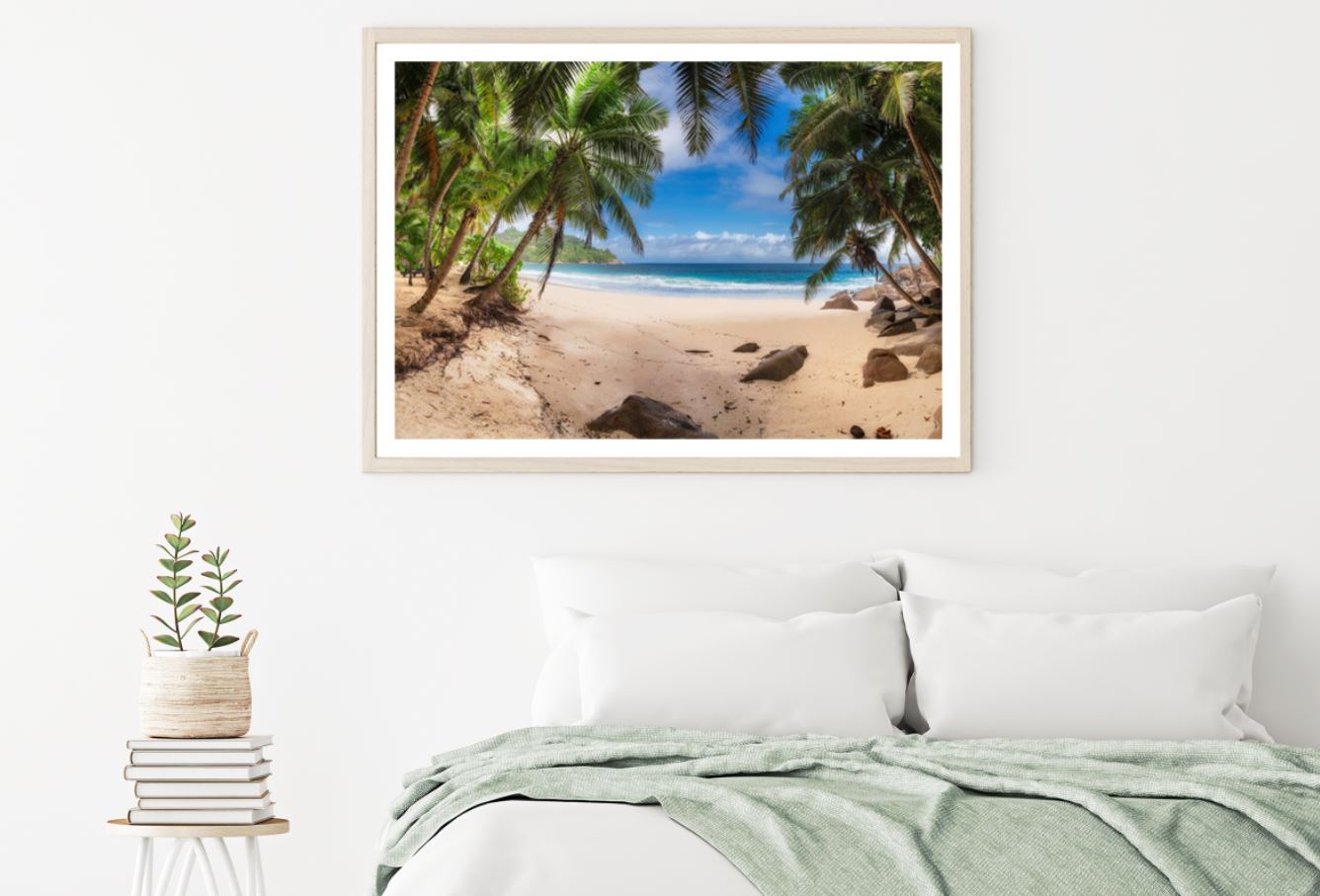 Palm Trees Near Sea Photograph Home Decor Premium Quality Poster Print Choose Your Sizes