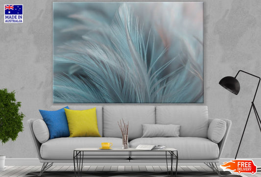 Feathers Closeup Photograph Print 100% Australian Made