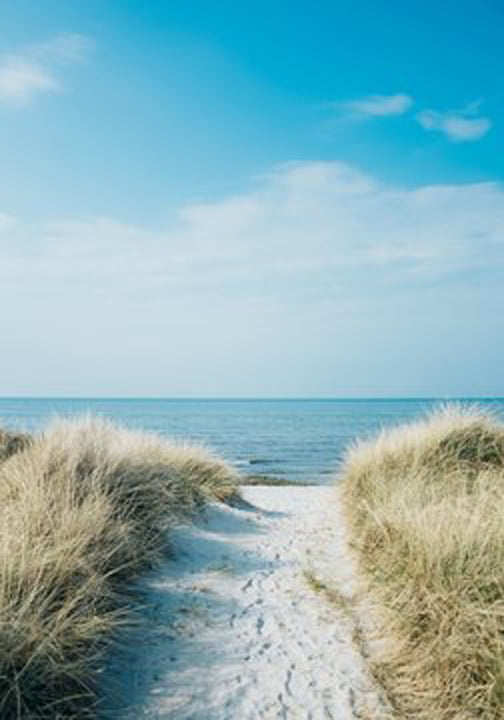 Sand Path to Sea Photograph Home Decor Premium Quality Poster Print Choose Your Sizes