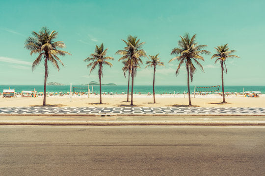 Palm Trees Near Sea Photograph Print 100% Australian Made