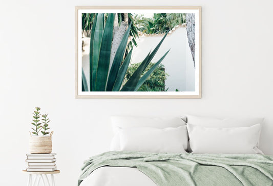 Plants Closeup Photograph Home Decor Premium Quality Poster Print Choose Your Sizes