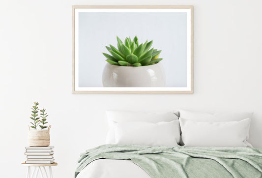 Cactus Plants Photograph Home Decor Premium Quality Poster Print Choose Your Sizes