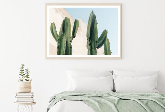 Cactus Plants Photograph Home Decor Premium Quality Poster Print Choose Your Sizes