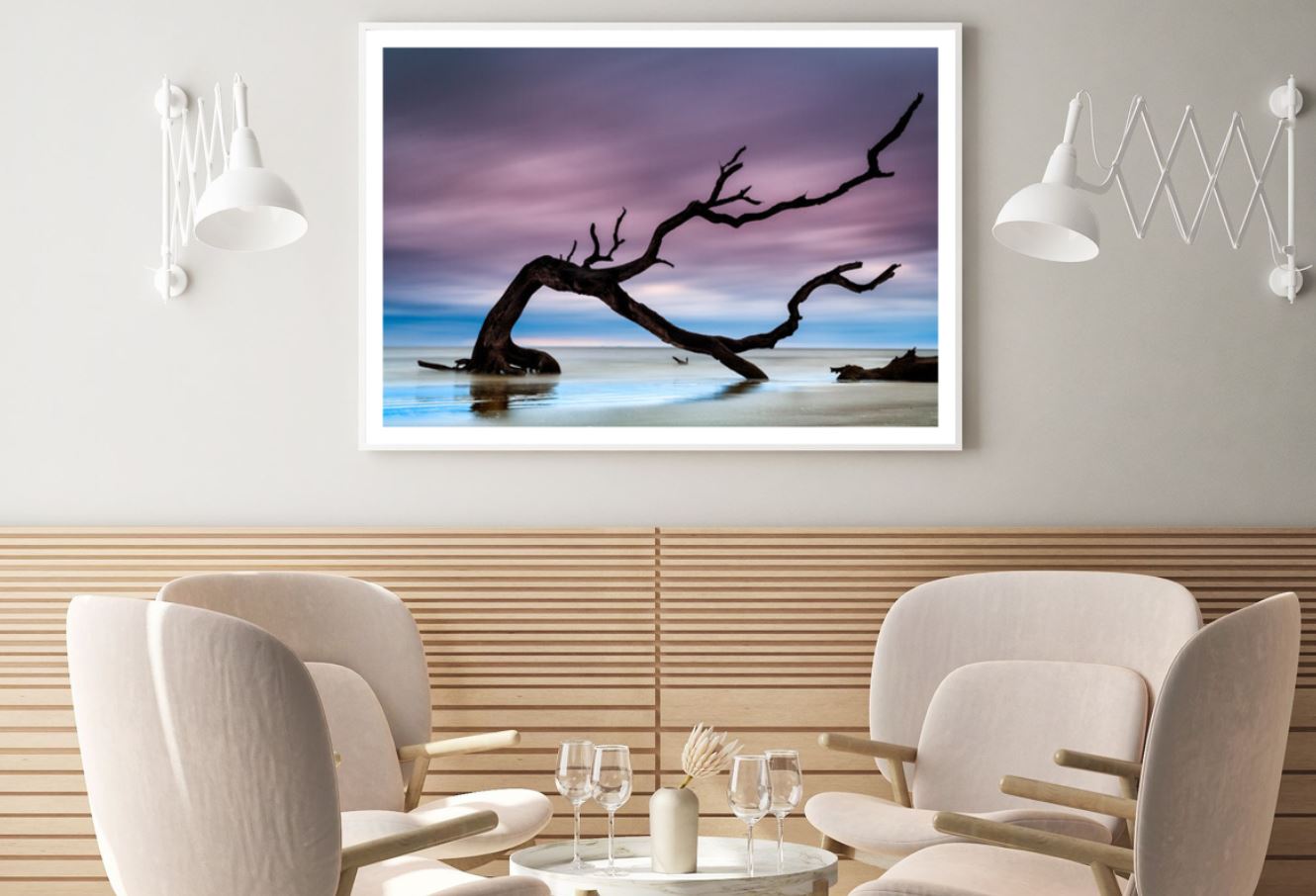 Dead Tree on Sea Photograph Home Decor Premium Quality Poster Print Choose Your Sizes