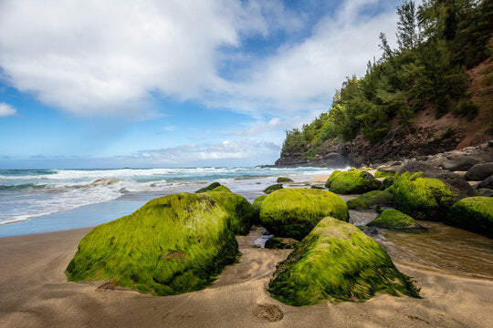 Rocks on Sea Shore Photograph Print 100% Australian Made