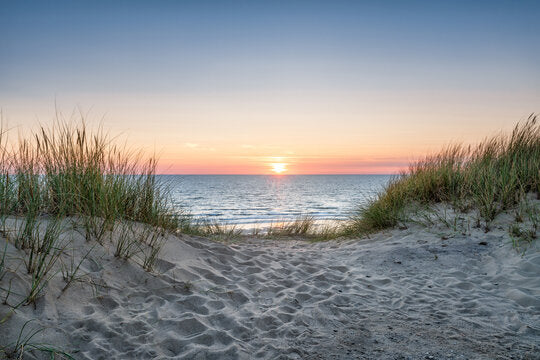 Sand Footpath to Sea Photograph Print 100% Australian Made