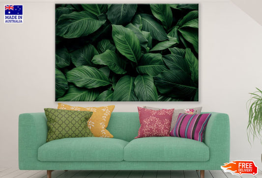 Leaves Closeup Photograph Print 100% Australian Made