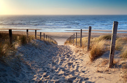 Fence on Beach Photograph Home Decor Premium Quality Poster Print Choose Your Sizes