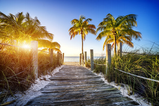 Wooden Foot Path to Sea Sunset Print 100% Australian Made