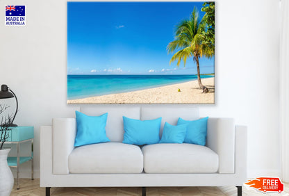 Palm Tree Near Sea Photograph Print 100% Australian Made