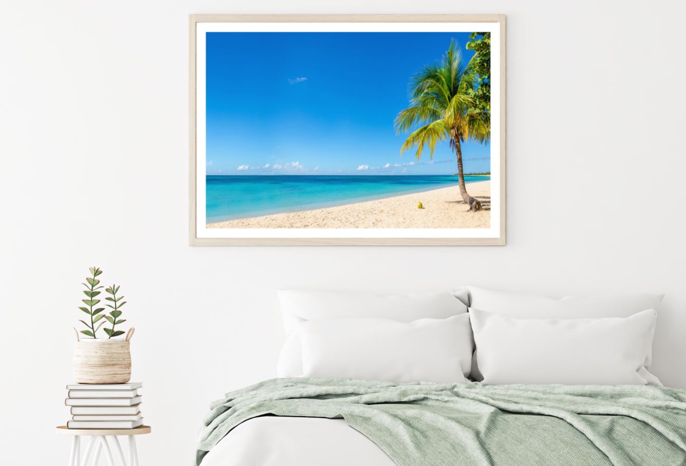 Palm Tree Near Sea Photograph Home Decor Premium Quality Poster Print Choose Your Sizes