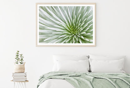 White Flower Macro Photograph Home Decor Premium Quality Poster Print Choose Your Sizes
