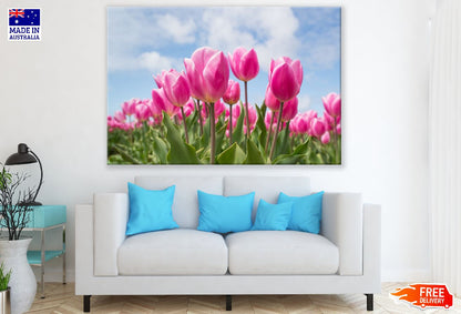 Pink Tulip Flowers with Leaves Photograph Print 100% Australian Made