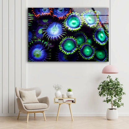 Colorful Flowers Photograph Acrylic Glass Print Tempered Glass Wall Art 100% Made in Australia Ready to Hang