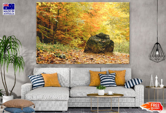 Rock in Autumn Forest Photograph Print 100% Australian Made
