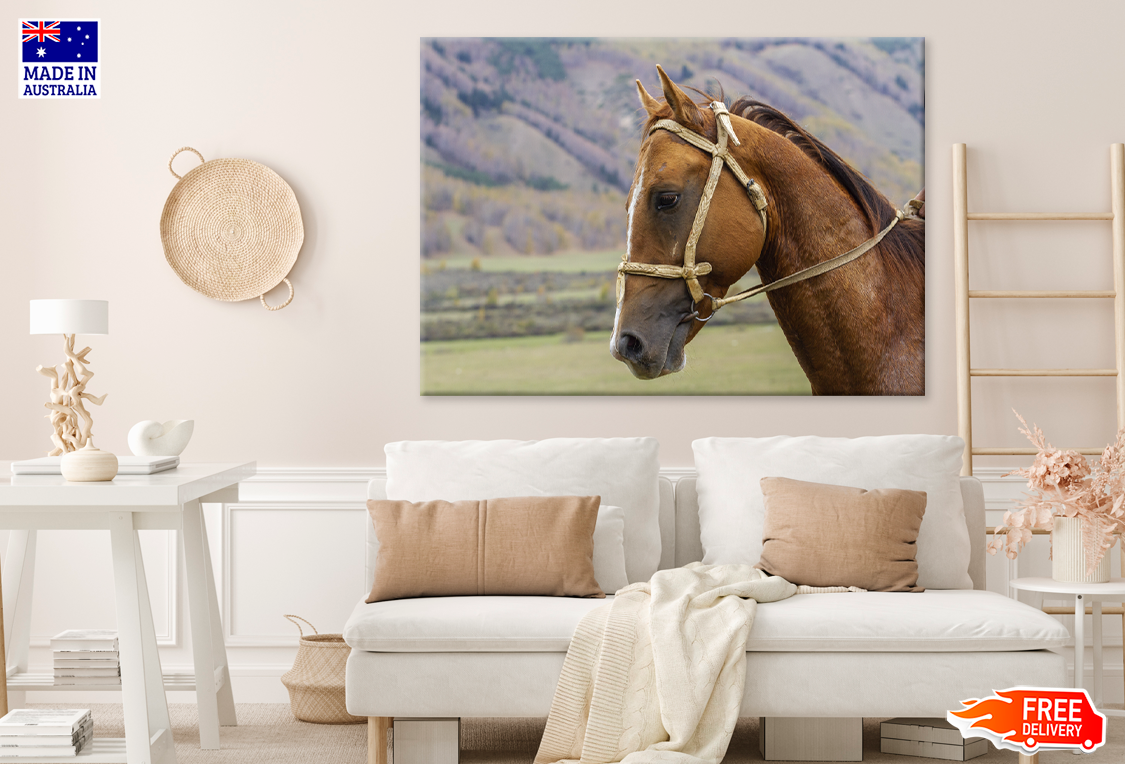 Horse Face & Mountain View Photograph Print 100% Australian Made