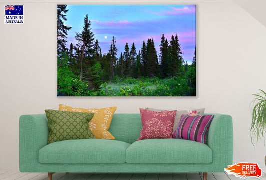 Natural Landscape Forest Under Colorful Sky Print 100% Australian Made