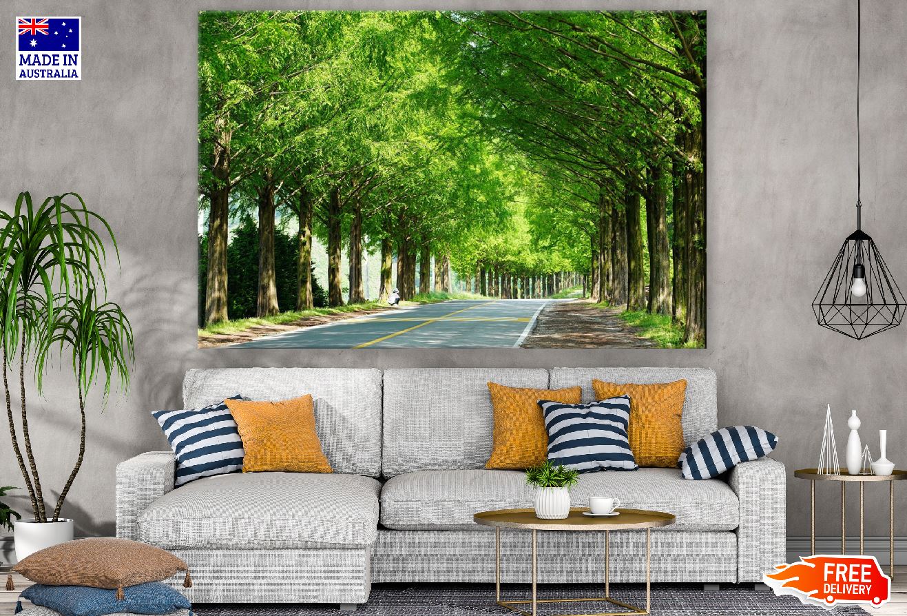 Road Covered with Green Trees Photograph Print 100% Australian Made