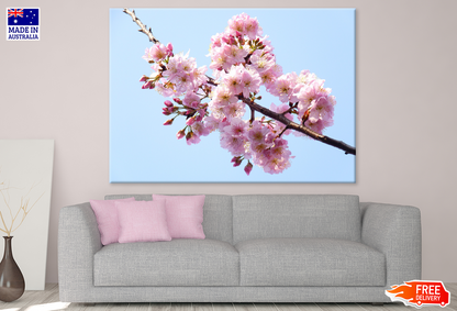 Blossom Flowers On Tree Closeup Photograph Print 100% Australian Made