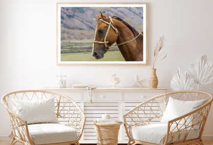 Horse Face & Mountain View Photograph Home Decor Premium Quality Poster Print Choose Your Sizes