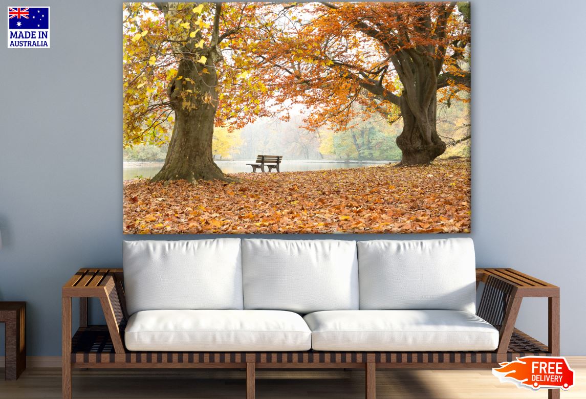Wooden Bench in Autumn Tree Forest Photograph Print 100% Australian Made