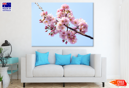 Blossom Flowers On Tree Closeup Photograph Print 100% Australian Made