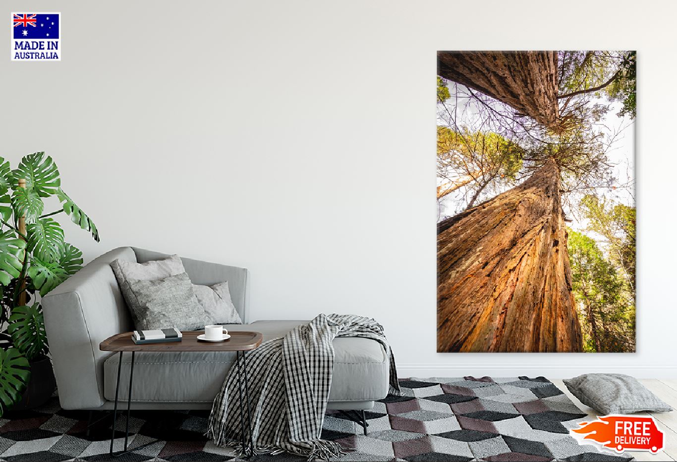 Two Large Trees View From Below Photograph Print 100% Australian Made