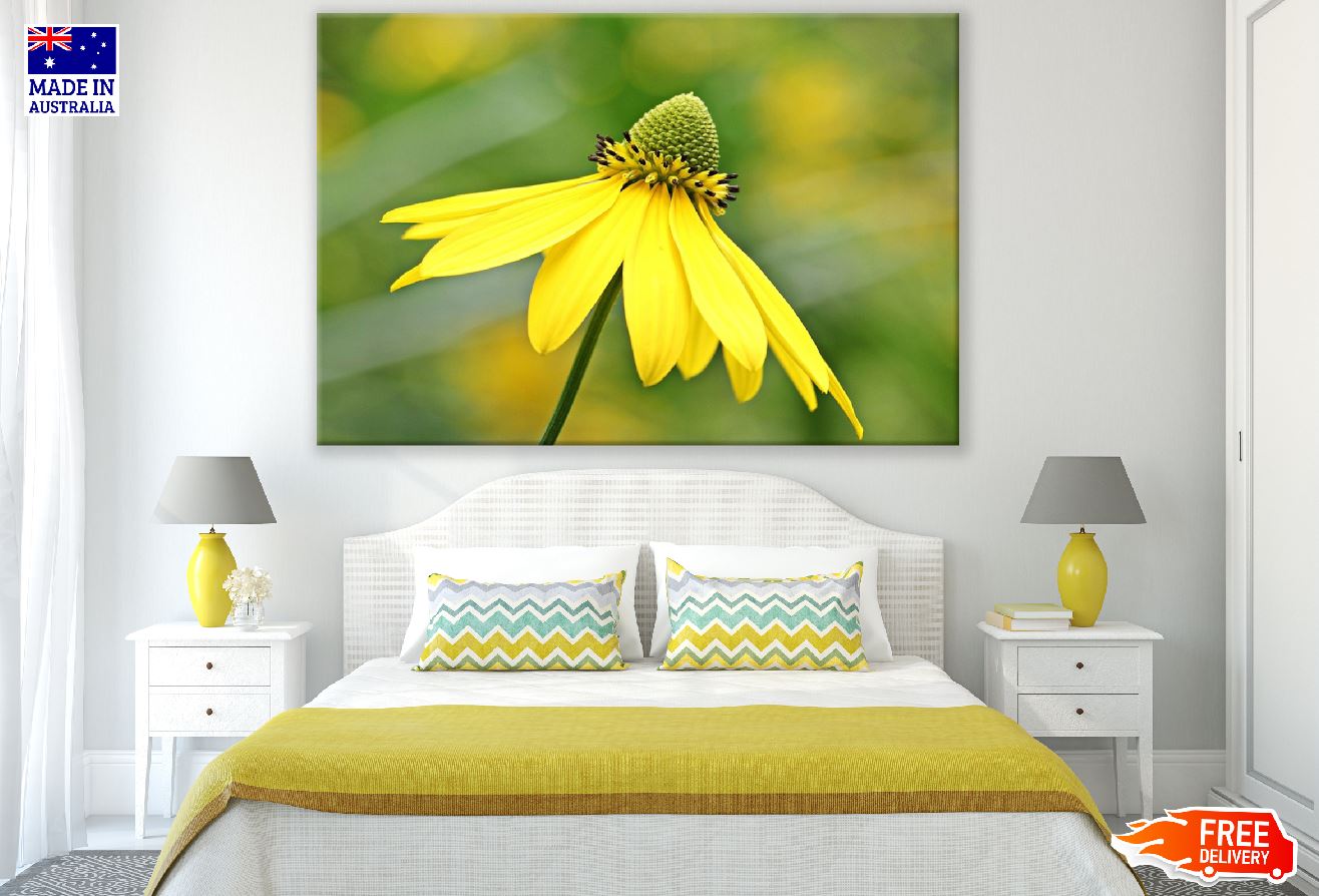 Yellow Sun Bride Flower Closeup Photograph Print 100% Australian Made