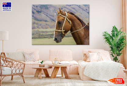 Horse Face & Mountain View Photograph Print 100% Australian Made