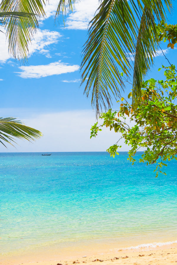 Palm Trees & Leaves with Sandy Beach View Print 100% Australian Made