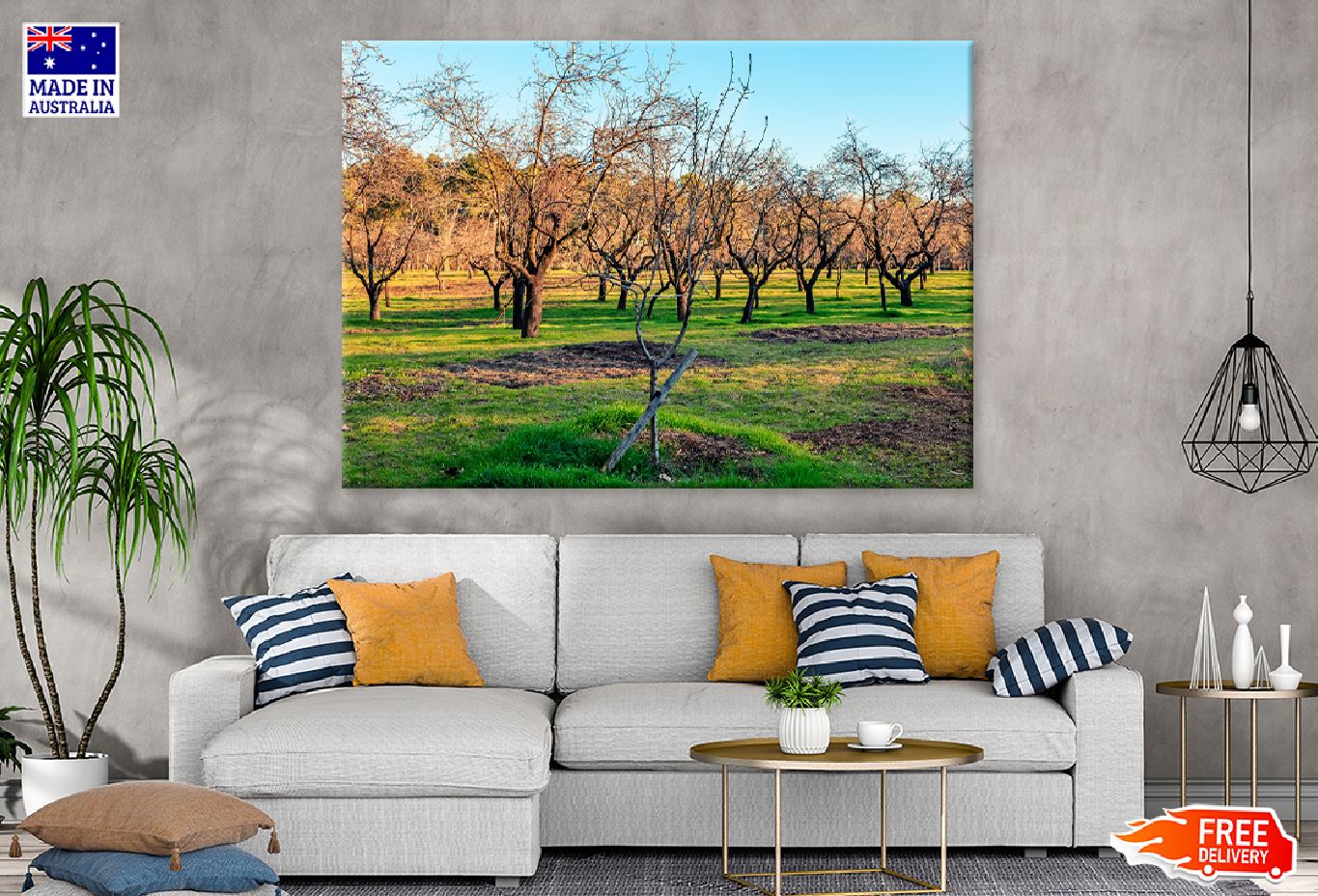 Landscape with Almonds Trees View Photograph Print 100% Australian Made