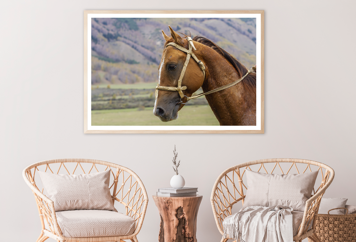 Horse Face & Mountain View Photograph Home Decor Premium Quality Poster Print Choose Your Sizes