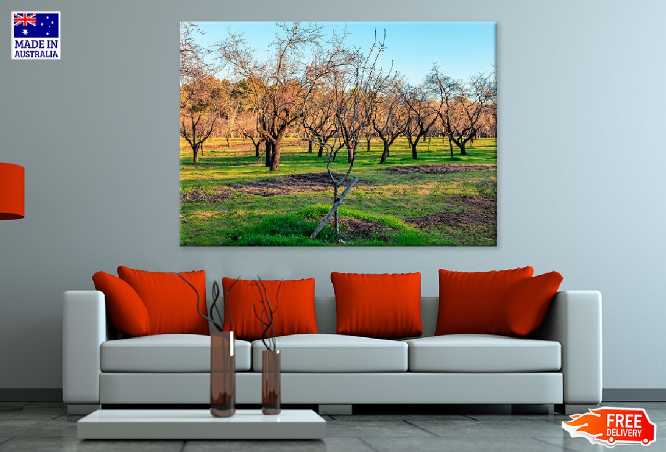 Landscape with Almonds Trees View Photograph Print 100% Australian Made