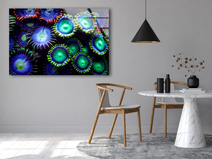 Colorful Flowers Photograph Acrylic Glass Print Tempered Glass Wall Art 100% Made in Australia Ready to Hang