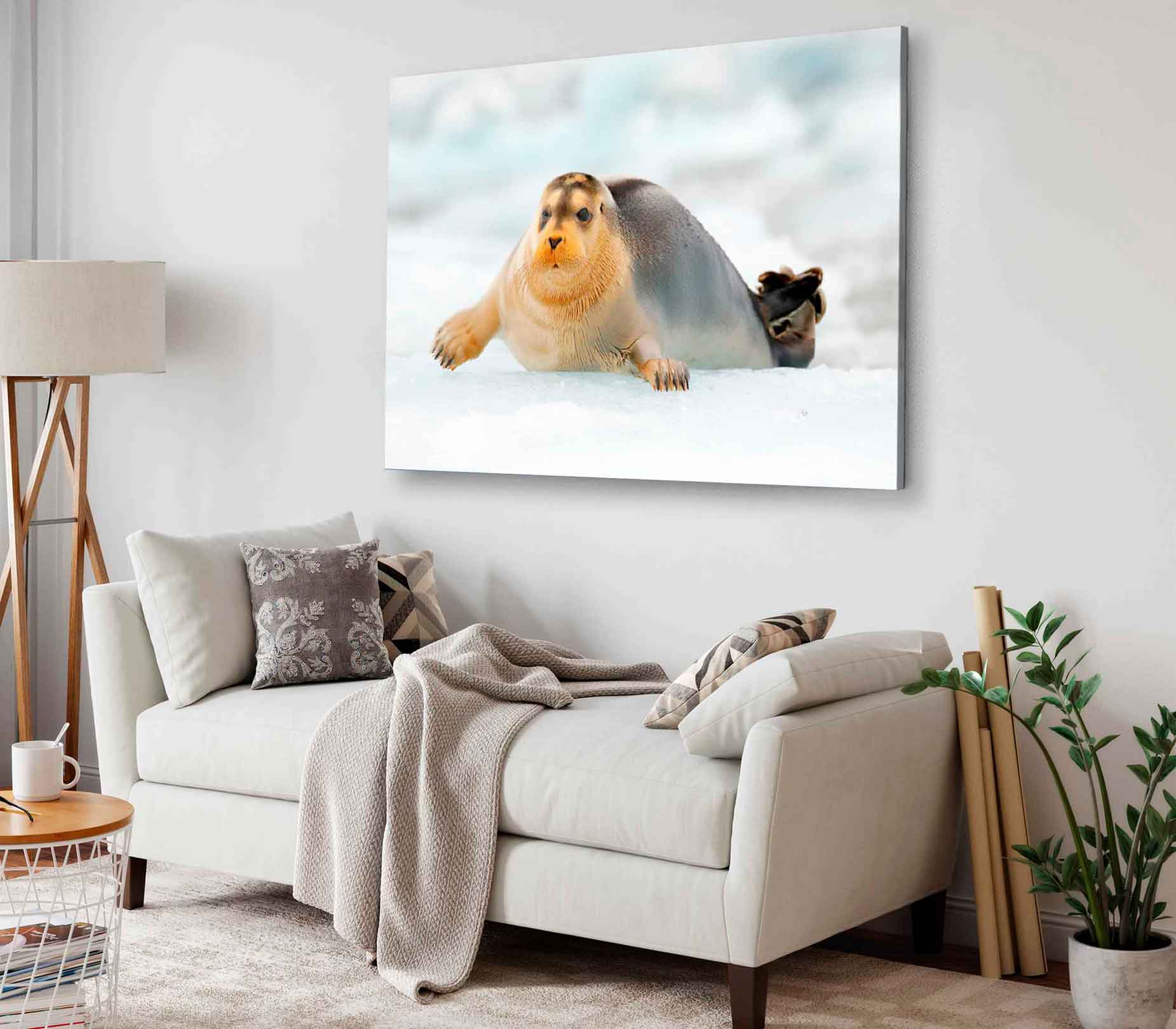 Bella Home Bearded Seal on Blue & White Ice Print Canvas Ready to hang