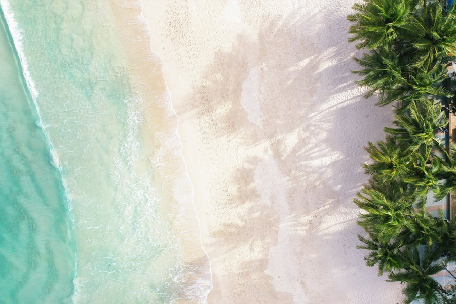 Palm Trees & Clear Sea Waves View Photograph Print 100% Australian Made