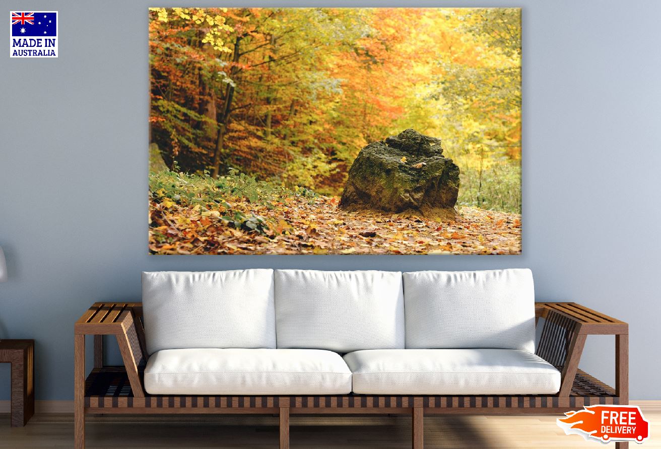 Rock in Autumn Forest Photograph Print 100% Australian Made