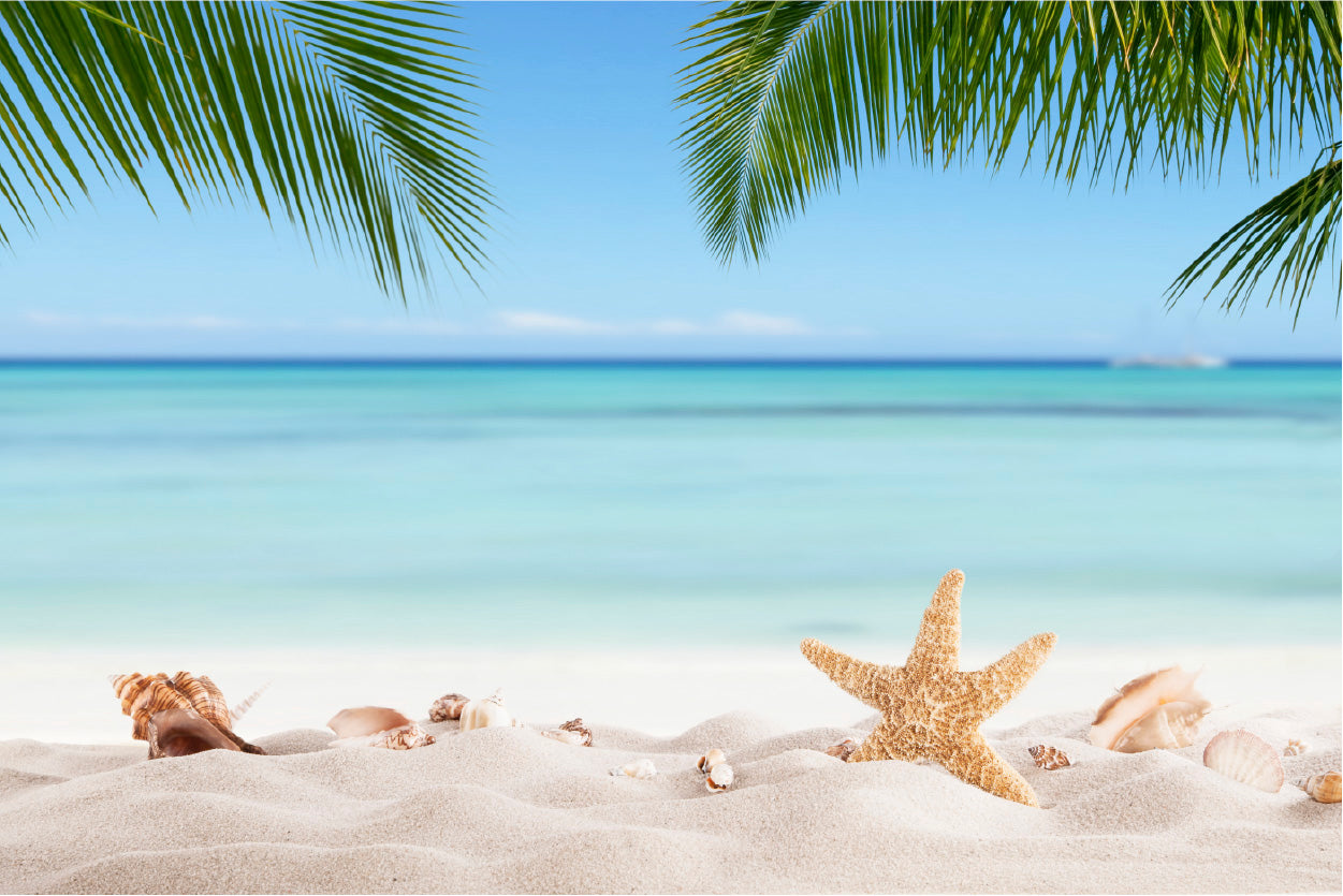 Bella Home Sea Shells Sand With Palm Leaves Print Canvas Ready to hang