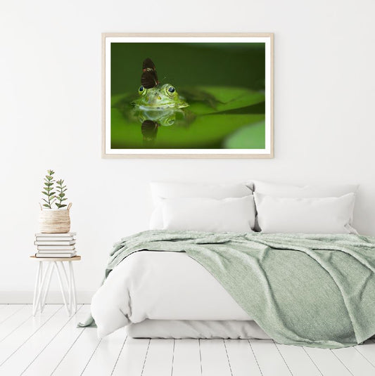 Butterfly on Frog in Water Macro Home Decor Premium Quality Poster Print Choose Your Sizes